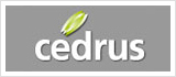 CEDRUS
