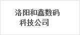 洛阳和鑫数码科技公司